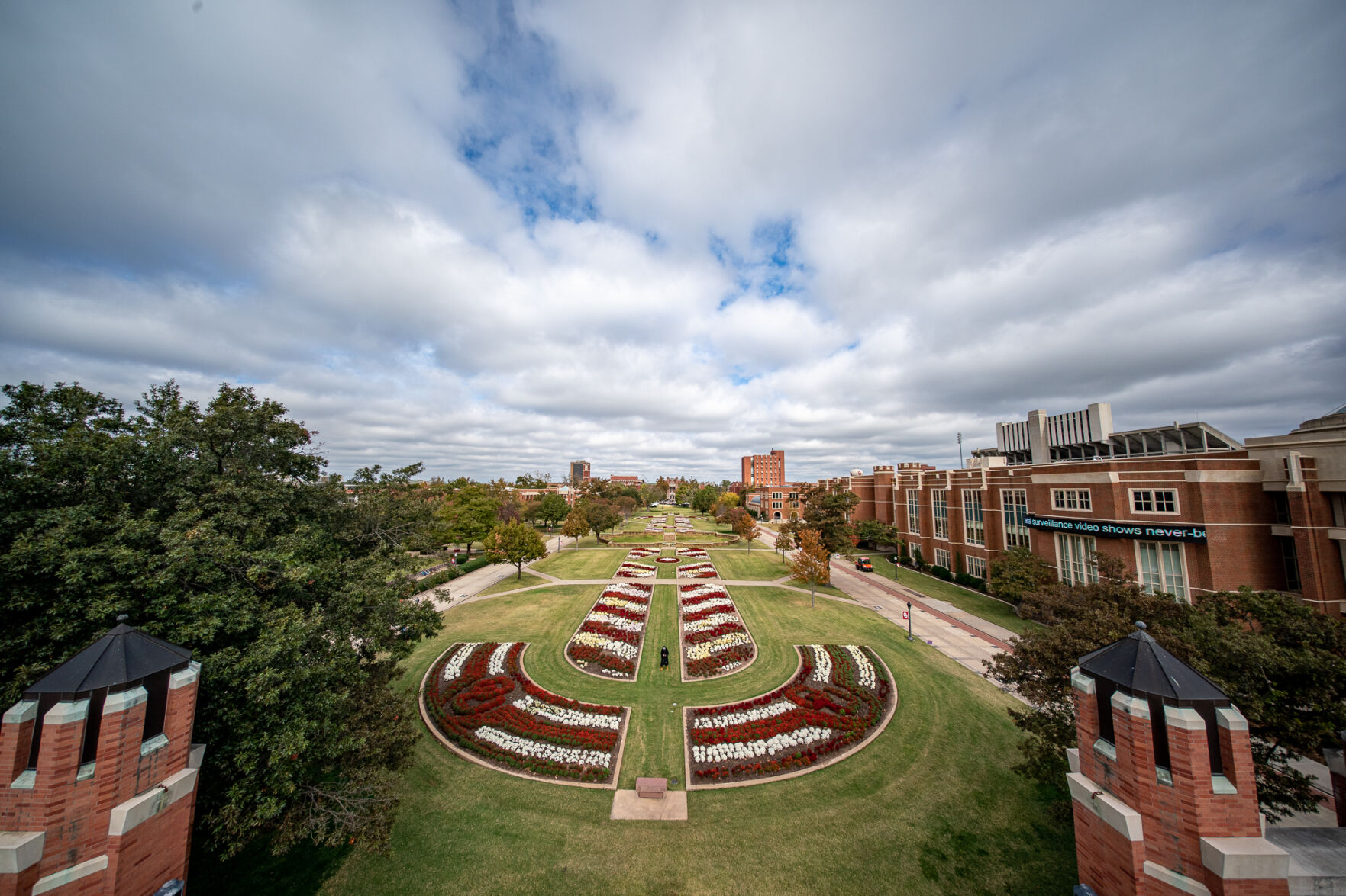 South Oval mums